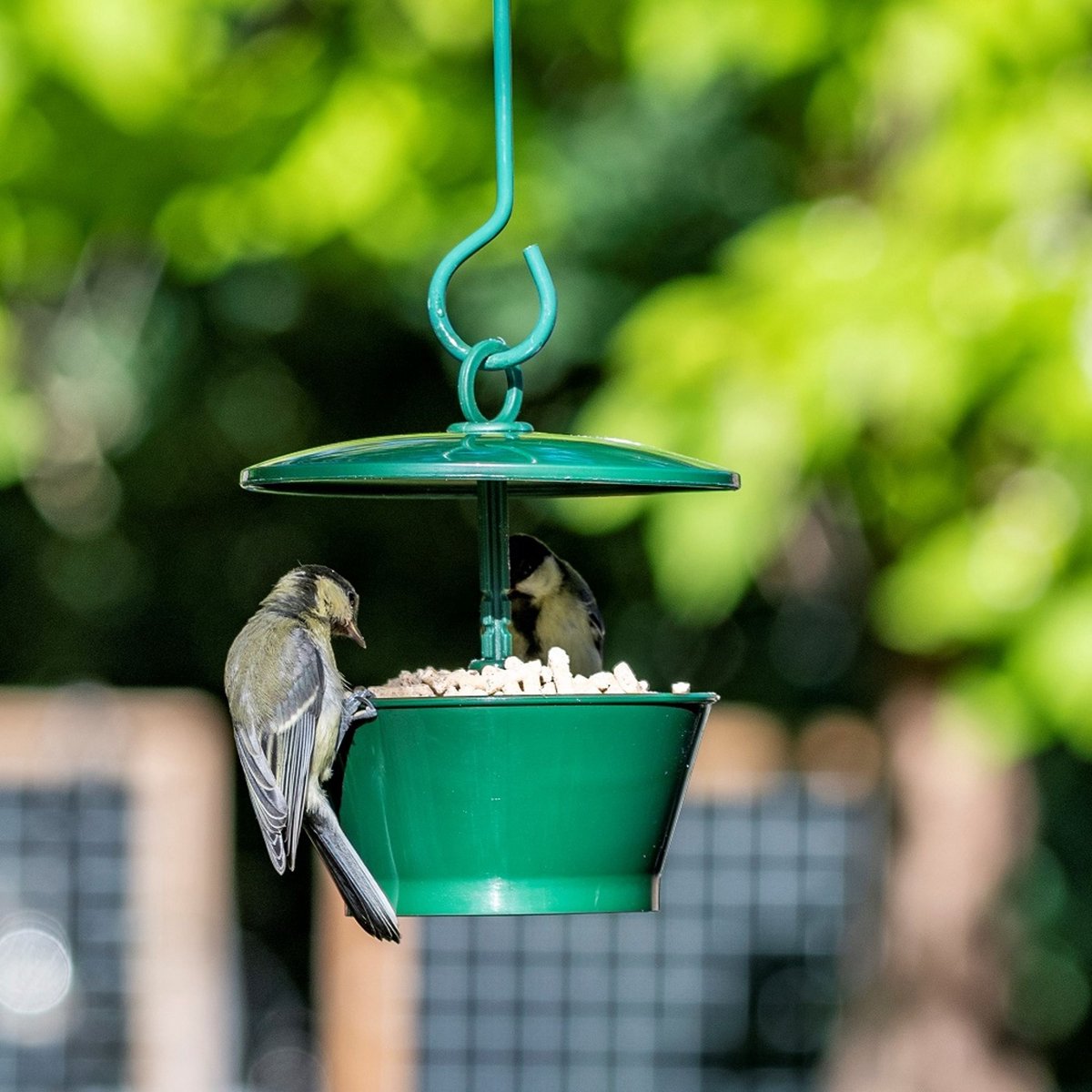 CJ Wildlife - Meelworm Feeder - Groen - Plastic - Vogelvoederplek