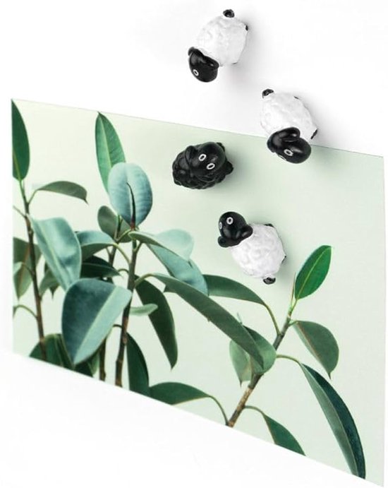 Planten-ontdekker-set voor kinderen - zaad set