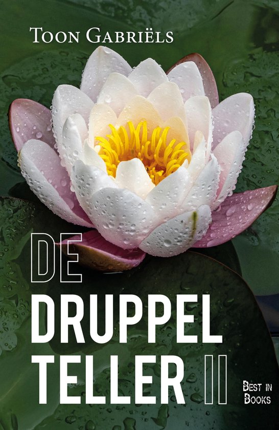 De Druppelteller II - cover