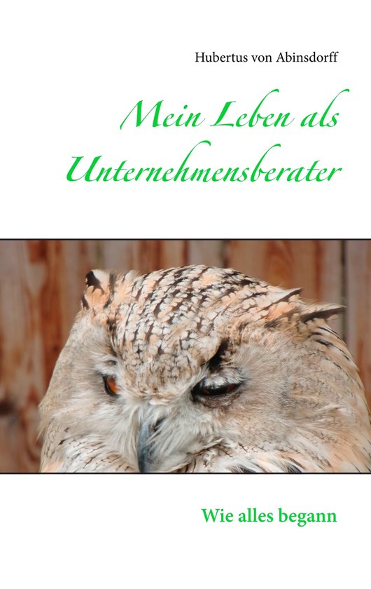 Mein Leben als Unternehmensberater - cover