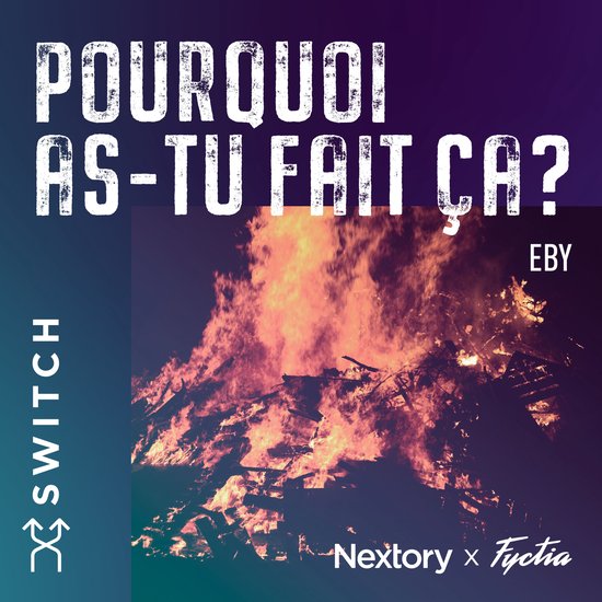 Pourquoi as-tu fait ça - cover