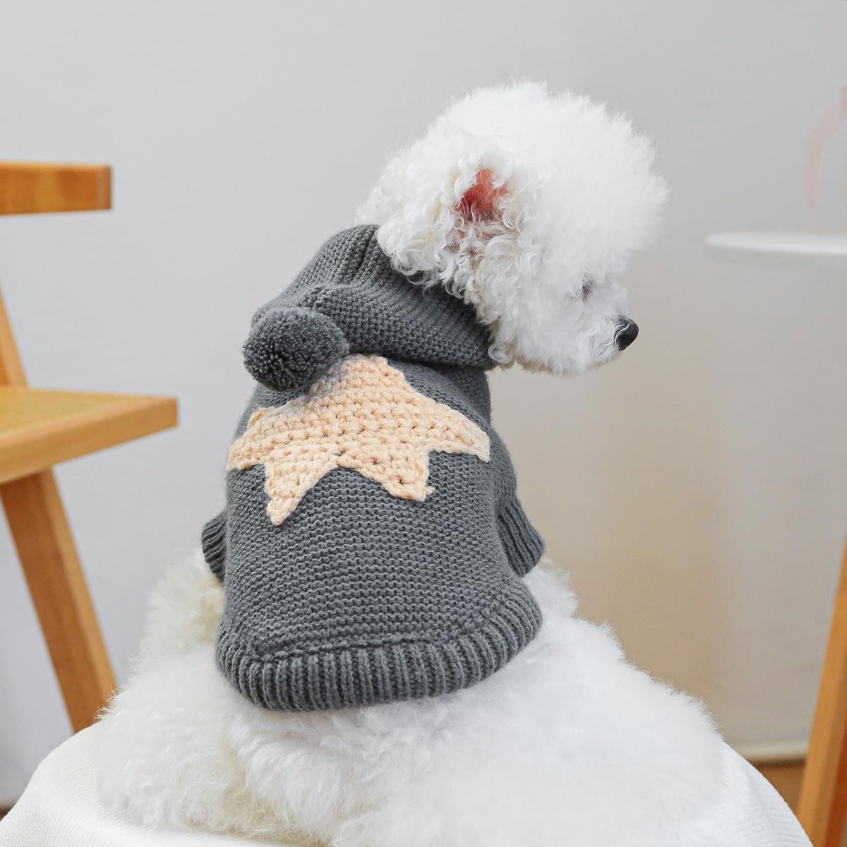 Hondenjas -Hondentrui - Pet Dog Sweater - Kleine Hondentruien met Capuchon - Puppy Schattige Gebreide Trui - Winterkleding Hond - Kat Lichtgewicht Warme Hoodies - Verjaardag Vakantie - Feestdecoratie - Kerst - Maat XL — cadeau in Cadeau-ideeën - foto 2