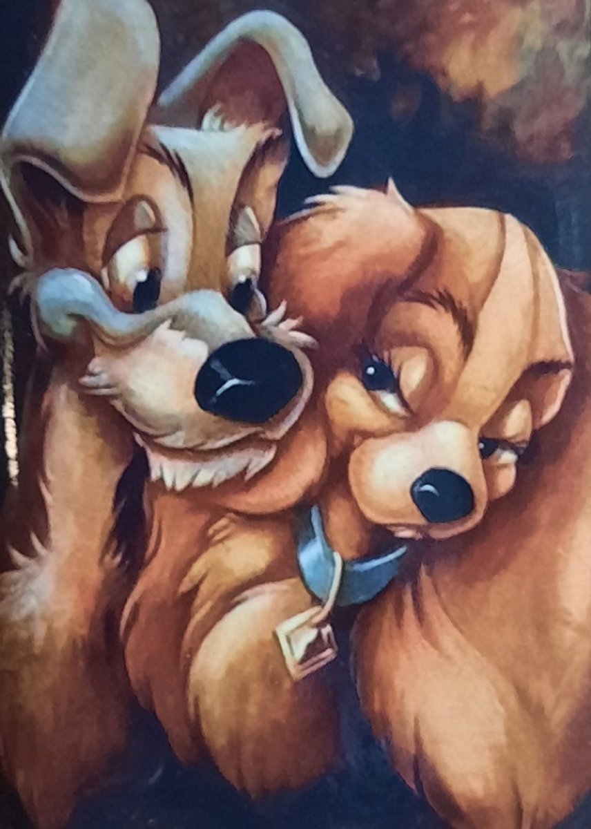Denza - Diamond painting 2 x hondje zeer mooi 40 x 50 cm volledige bedrukking ronde steentjes direct leverbaar - dog - honden - hond