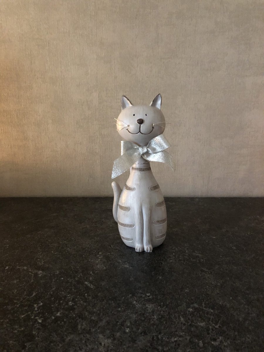 Timmy de kat
