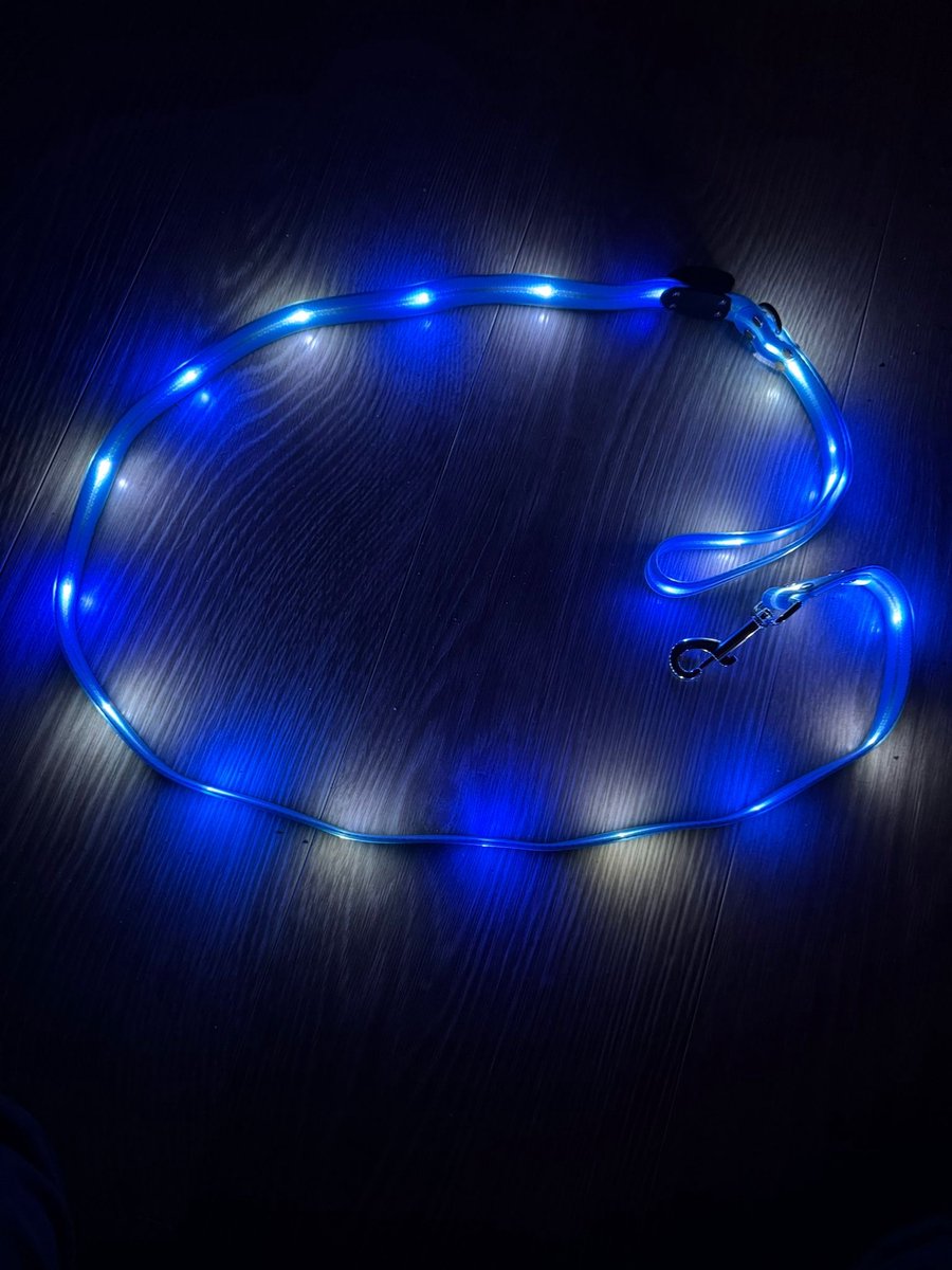 LED Waterdichte hondenriem Blauw USB Oplaadbaar, brengt licht in het donker voor veilige nachtelijke wandelingen voor Kleine, middelgrote tot grote honden