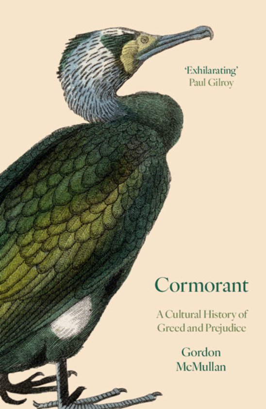 Cormorant - cover