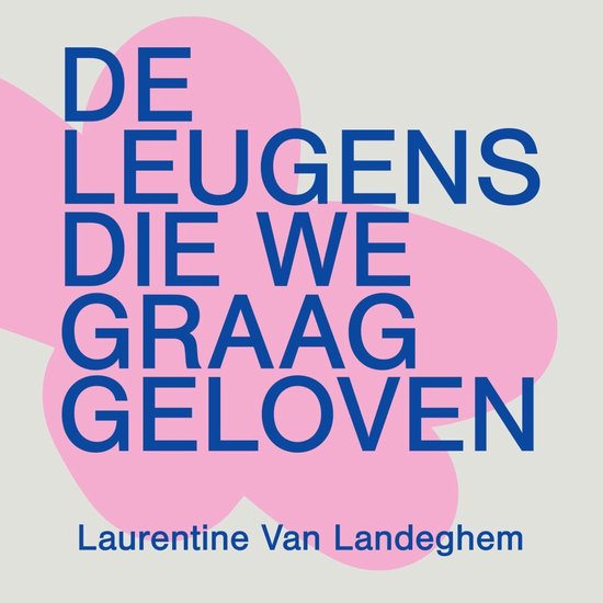 De leugens die we graag geloven - cover