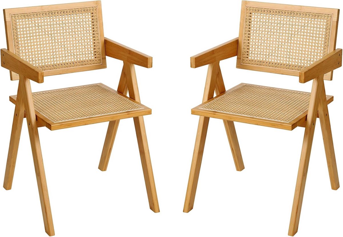 Set van 2 Moderne Rotan Eetkamerstoelen met Armleuningen voor Binnen en Buiten