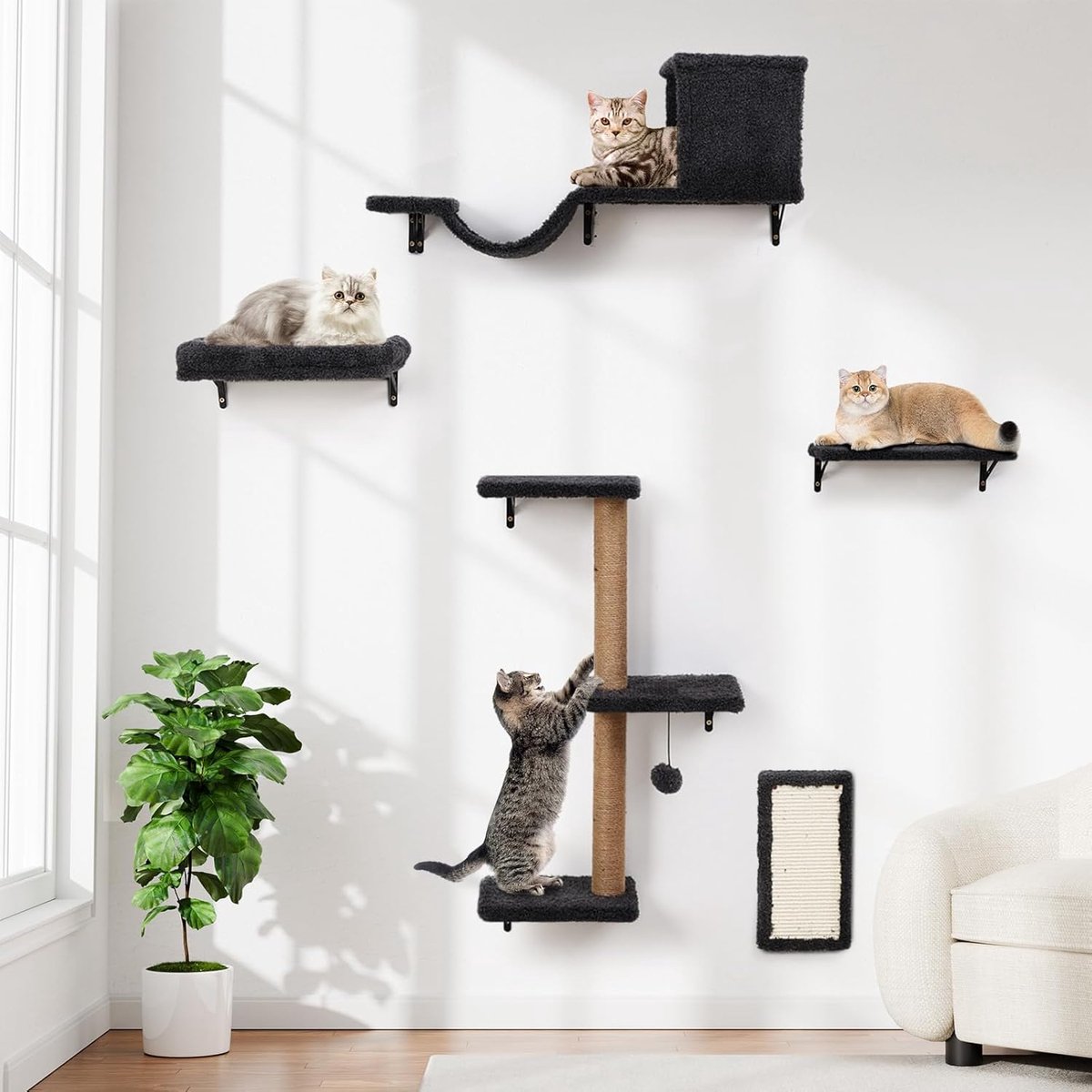 Katten klimmuur 5 onderdelen