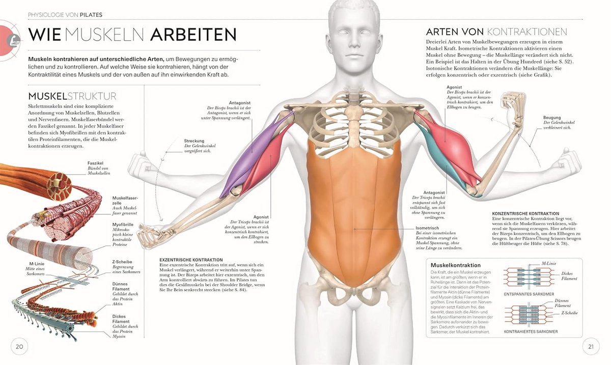 Pilates Anatomie Oefeningenboek voor - afbeelding 2