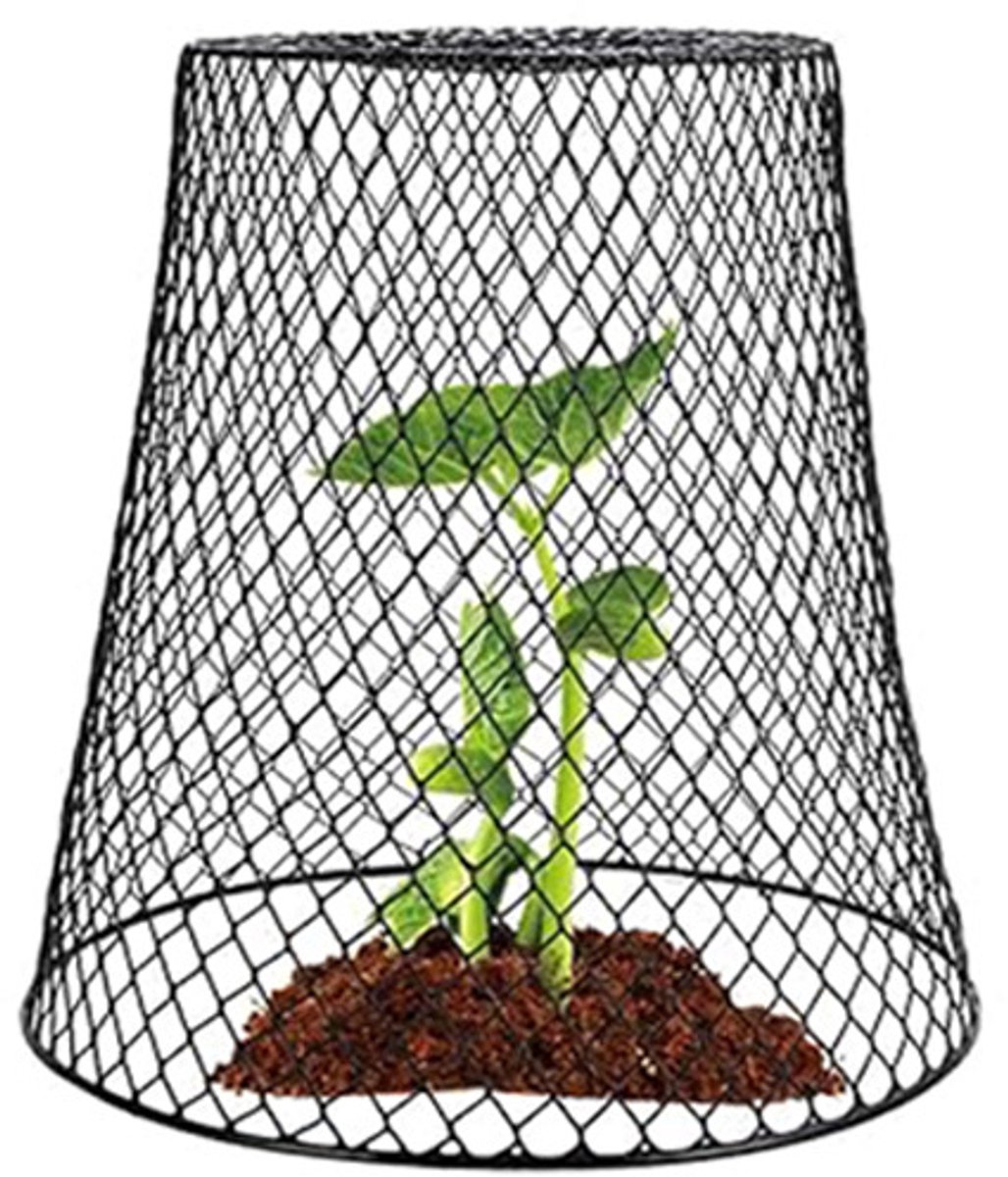 5 stuks tuinbelletjes voor planten - metalen tuinbel - plantenbescherming kippendraad - metalen plantenbeschermingsafdekking voor planten met bodemspike en etiket - zwart