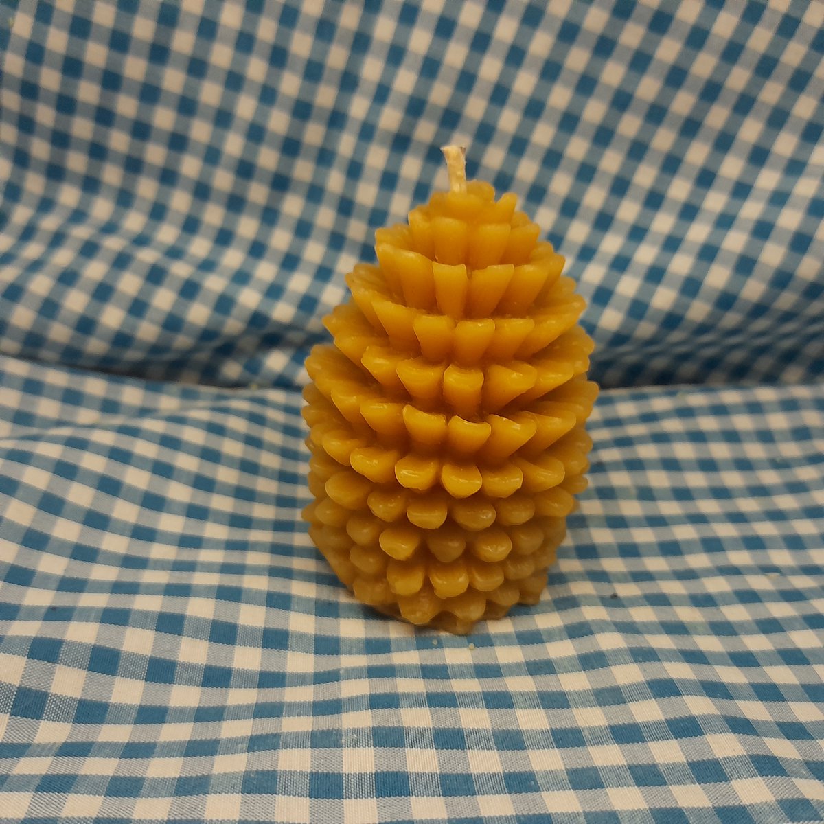 Bijenwaskaars dennenappel