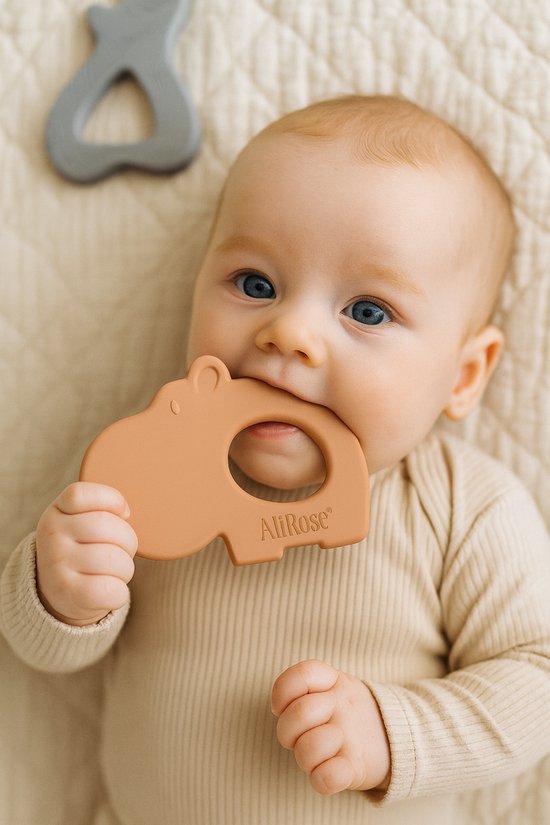 AliRose - Siliconen Bijtring - Nijlpaard - Dieren Teether - BPA/PFAS Vrij - 100% Siliconen - Hypoallergeen - Hippo - Baby Speelgoed - Tandverzachtend - Verkoelend - Cadeau BabyShower - Coral Roze