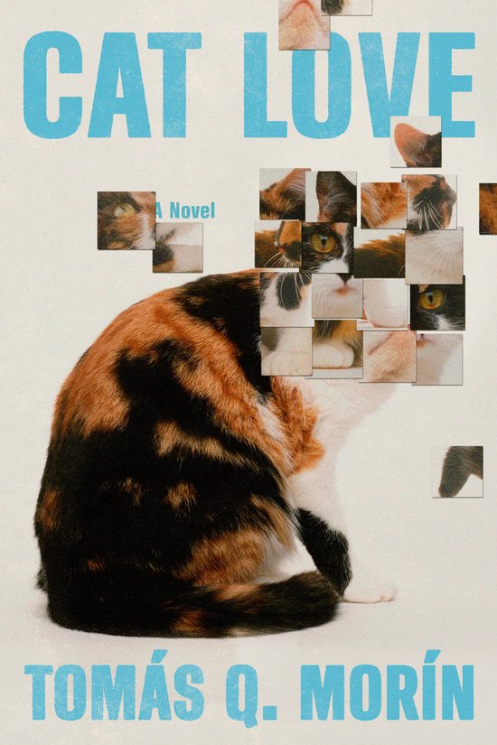 Cat Love - cover