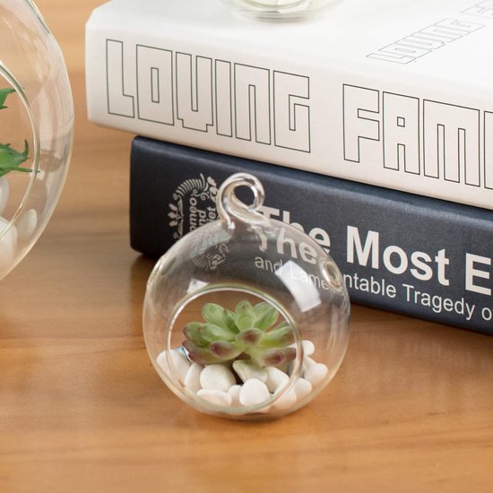 Yangbaga Terrariumglazen pot met deksel voor planten - kweek je eigen grote glazen terrarium of ecosysteemdecoratie (planten niet inbegrepen