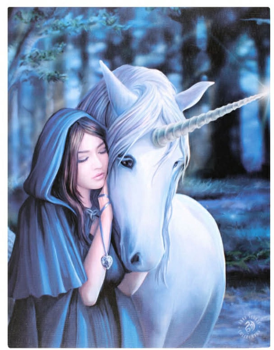Canvas - Solace - Anne Stokes
