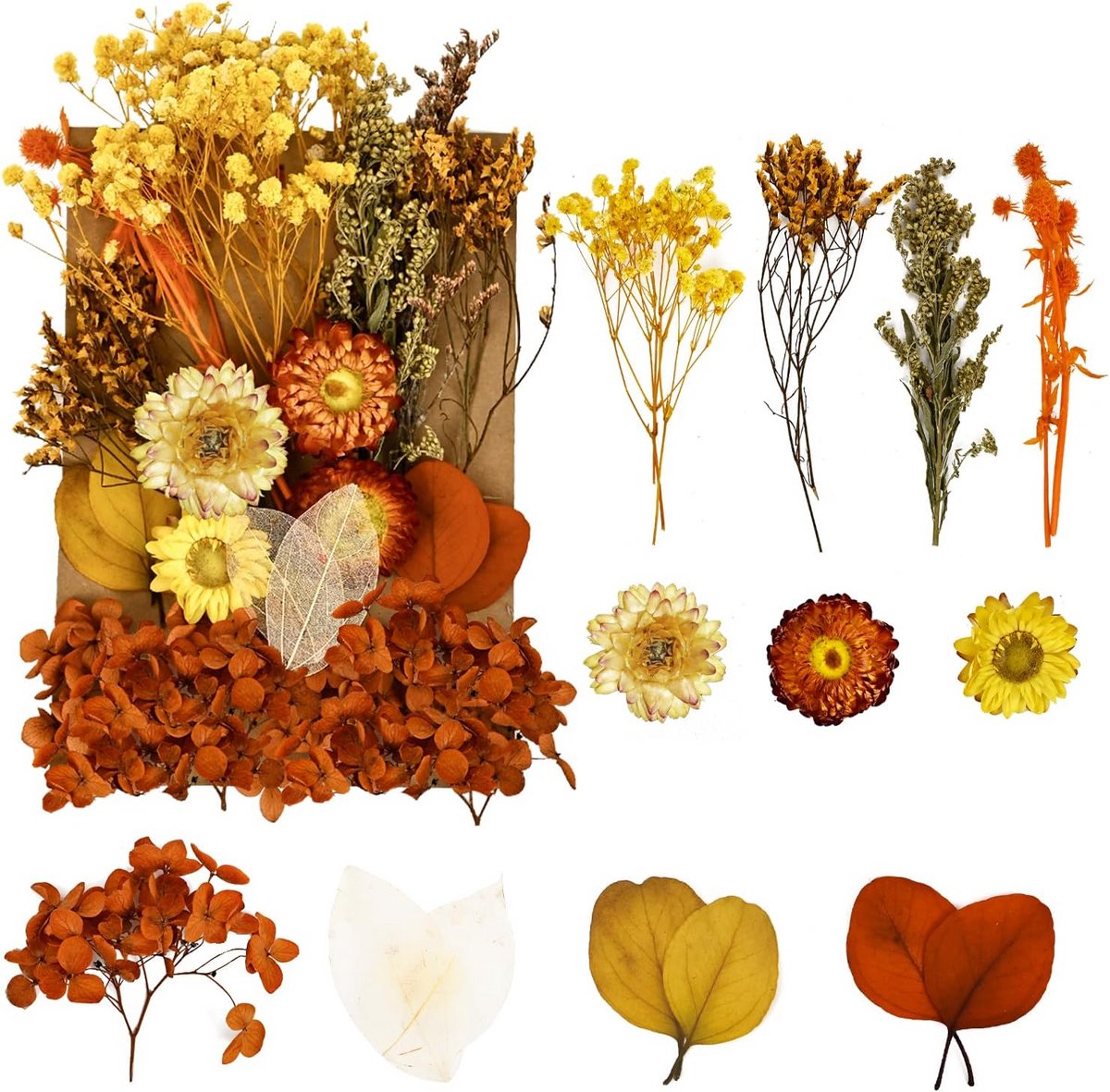 Gedroogde en Geperste Bloemen voor Knutselen, Sieraden, Hars & Decoratie (Oranje Geel)