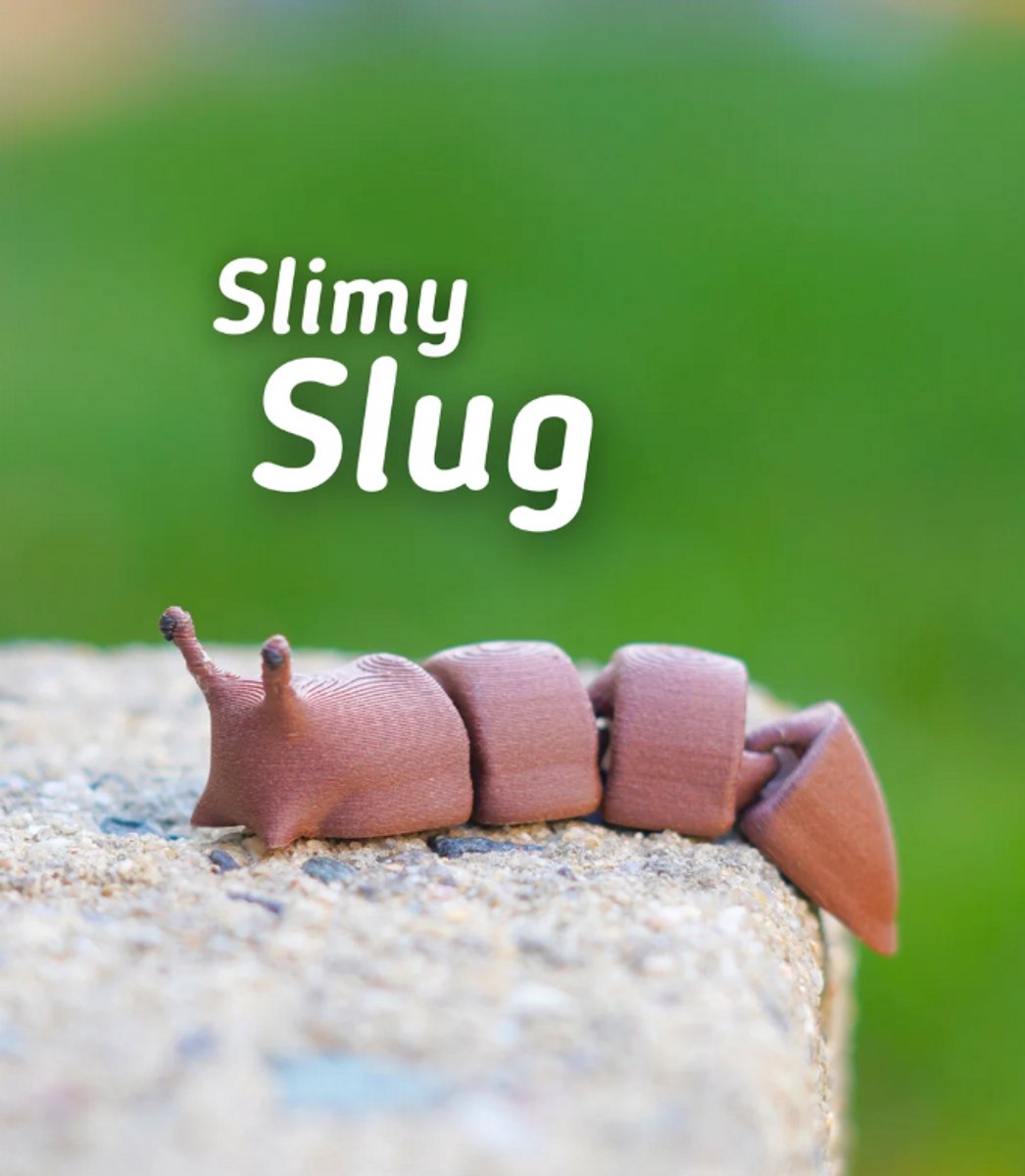 Slijmerige Naakt Slak 3D Print - Vera's Arts & Dice - Slimy Slug 3D Print - Speelgoed - Verzamelobject - Slakken Figuur - Naaktslak - Bruin Zwart