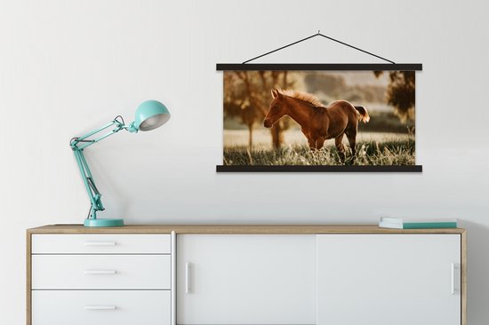 Porte-affiche avec affiche - Affiche scolaire - Cheval - Lumière - Prairie - 90x45 cm - Lattes noires