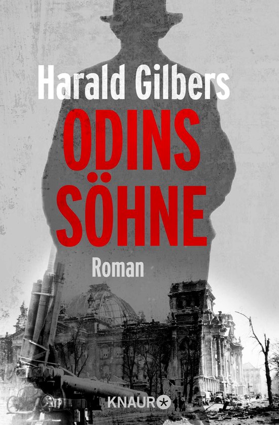 Ein Fall für Kommissar Oppenheimer 2 - Odins Söhne - cover