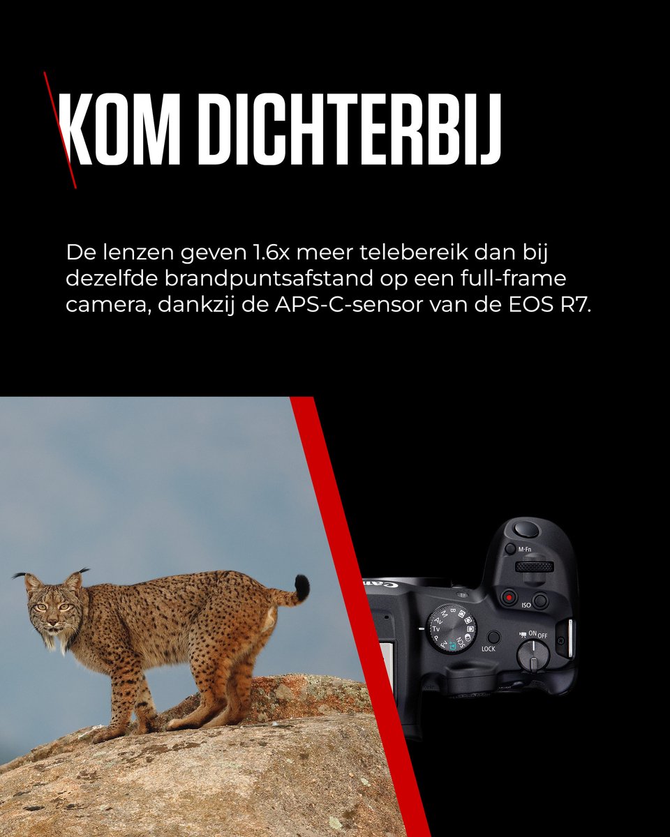 Canon EOS R7 + RF-S 18-150mm S STM lens – Systeemcamera met lens – APS-C – 32.5MP – Foto Video – Hybride — cadeau in Elektronica - foto 2