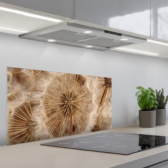 Spatscherm 80x40 cm - Zelfklevende achterwand Paardenbloem - Bloemen - Natuur - Bruin - Keuken muurbeschermer - Spatwand fornuis