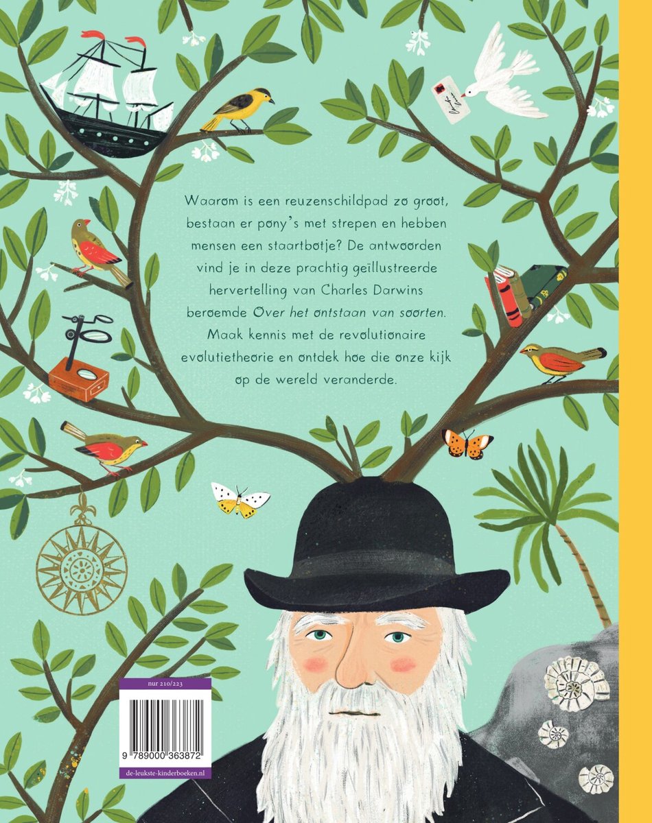 Het verhaal van de reuzenschildpad - back cover