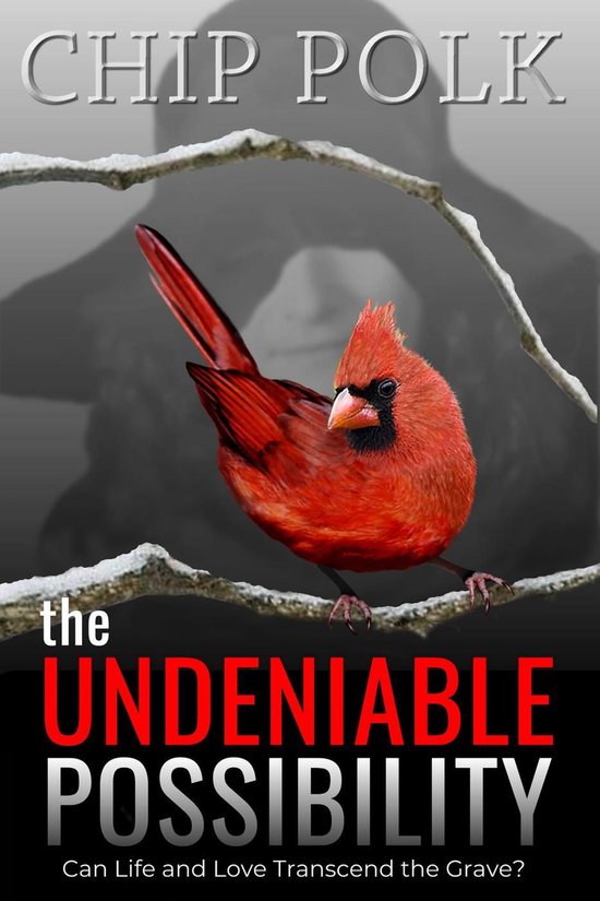 The Undeniable Possibility - cover