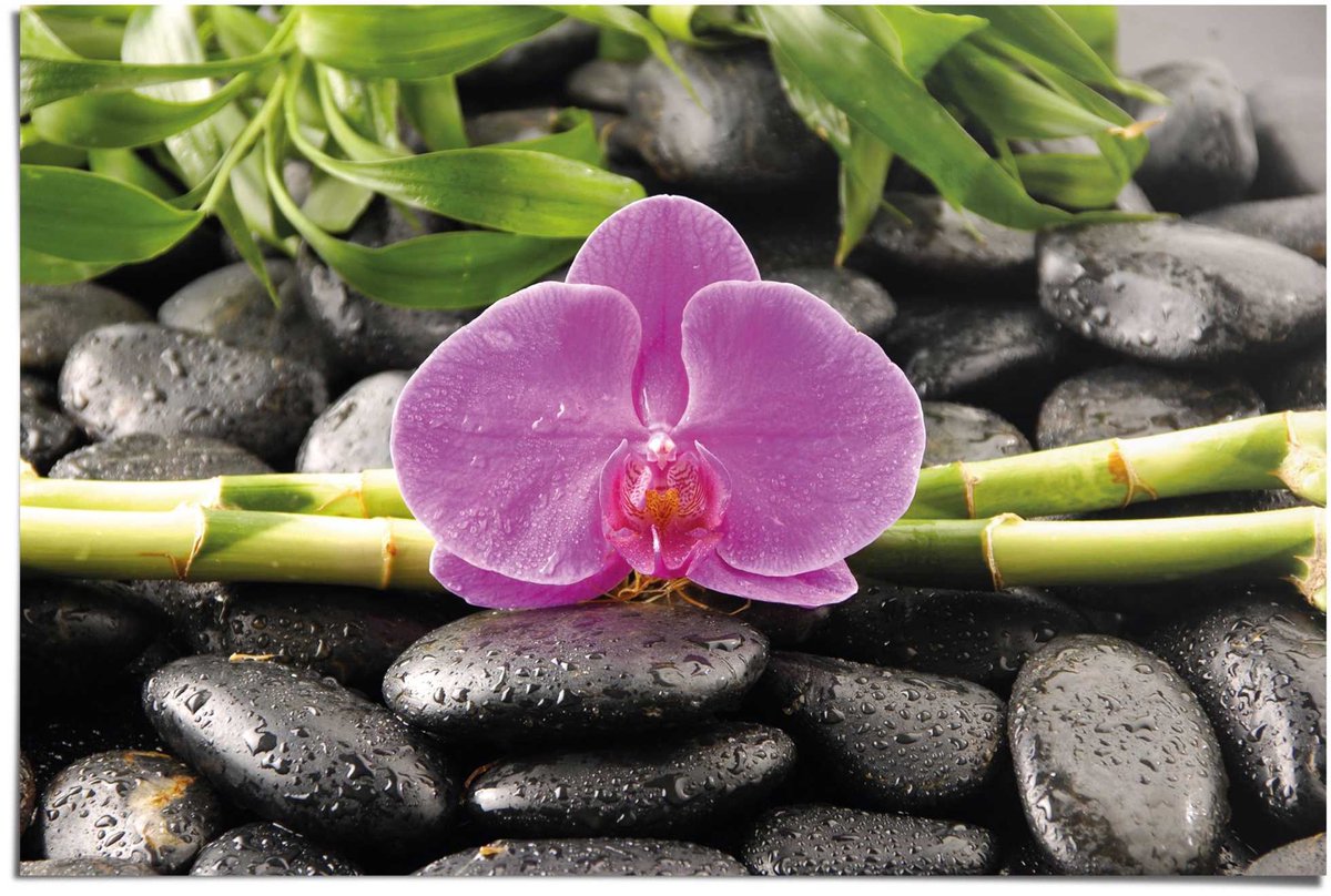 REINDERS Poster Orchidee - 61 x 91,5 - Papier - REINDERS roze