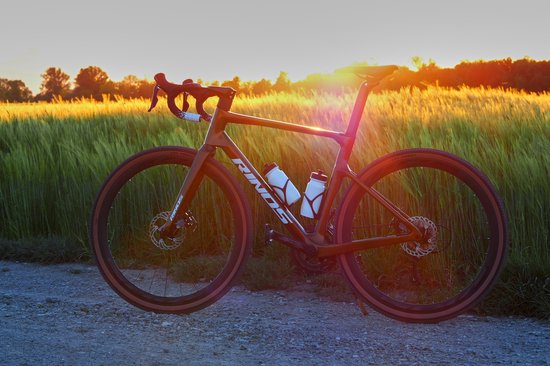 Rinos Sandman 1.0 - Carbon Gravel Fietes - Gravel Bike - met Shimano SORA 18 versnellingen en schijfremmen - lichte fiets voor dames en heren - 700 x 40C - Kameleon Goud Groen S-52 van Rinos — afbeelding 5