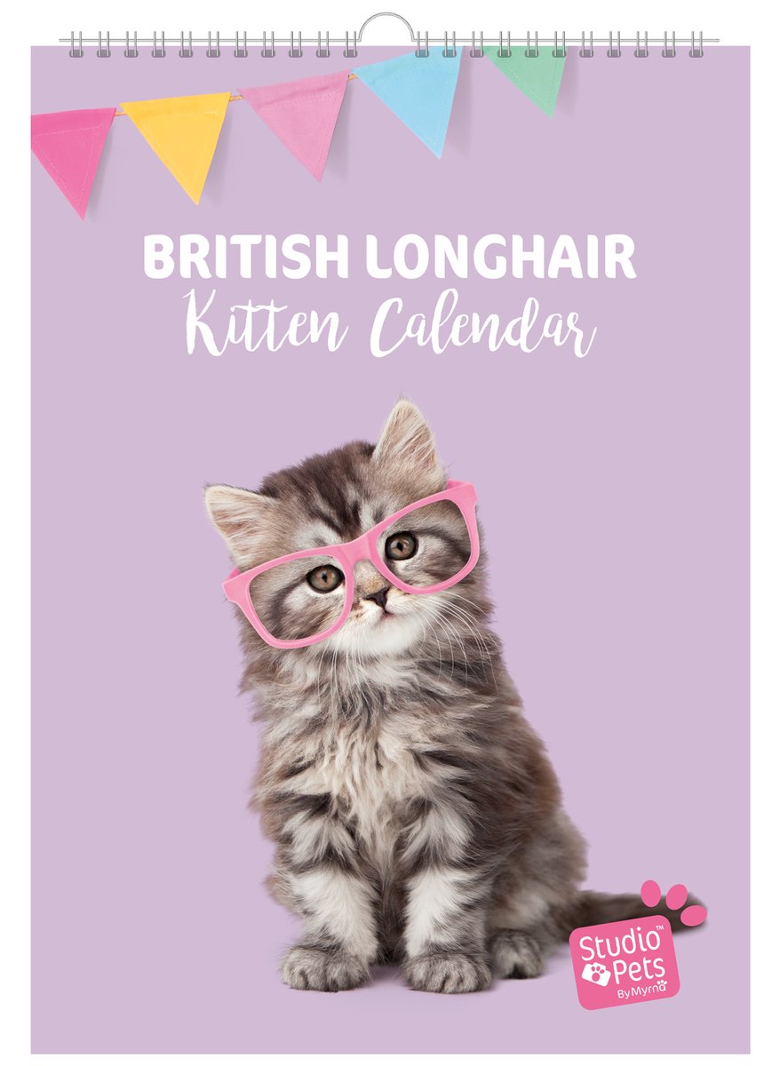 Studio Pets® A4 verjaardag kalender A4 – Britse Langhaar katten - maandplanner / kalender