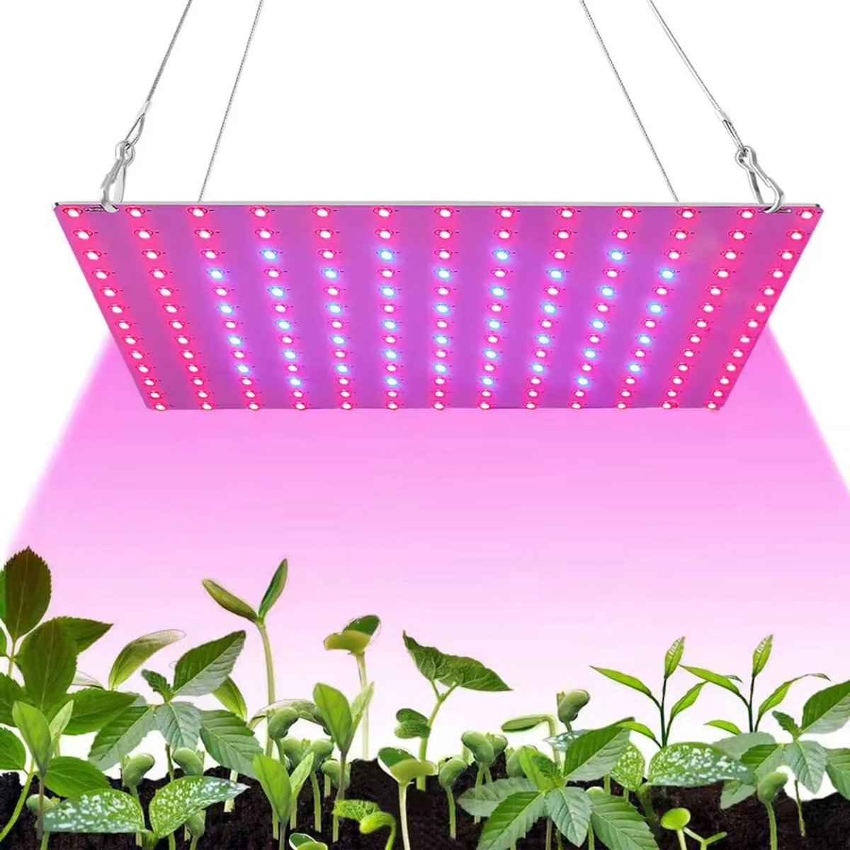Debra Enterprise - LED Kweeklamp 45W – Volledig Spectrum – G