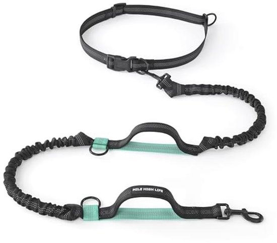 SHINE HAI Intrekbare handsfree hondenriem met dubbele bungees voor 2 honden, verstelbare heupriem, reflecterende stiksels riem voor hardlopen, wandelen, joggen, fietsen zwart - grijs