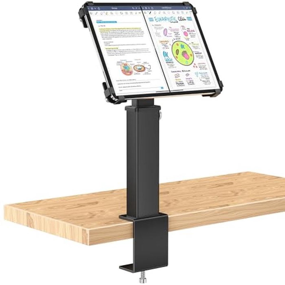 Verstelbare tabletstandaard met 360° rotatie en 180° kanteling voor 9,7 - 13 inch tablets