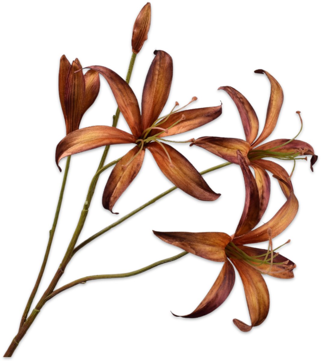 Silk-ka Lelie tak bruin/groen 80 cm