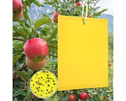 Professionele gele insectenval voor het bestrijden van maden, bladluizen en motten - 50 stuks