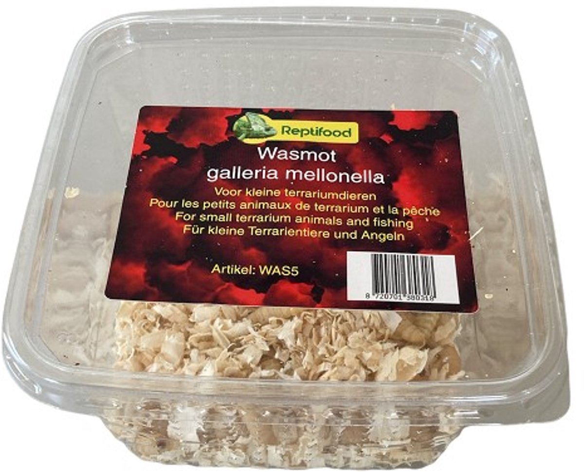3 bakjes levende wasmotten