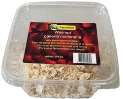 3 bakjes levende wasmotten