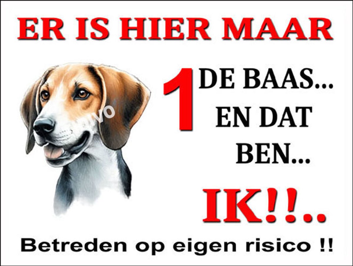 Fox Terrier 26