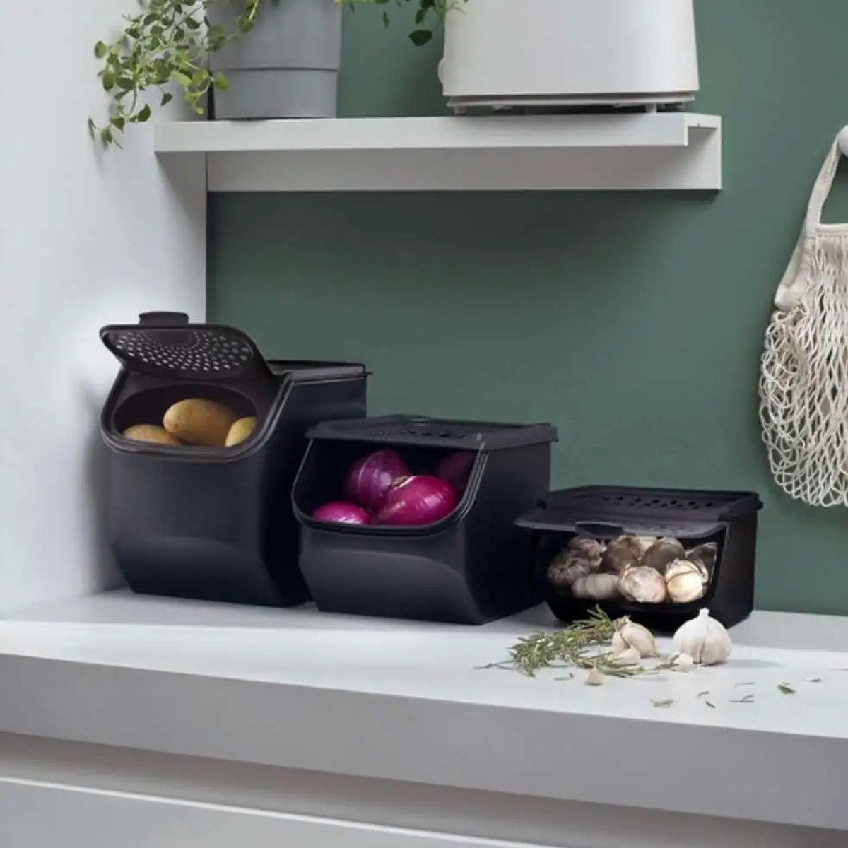 Knoflookdoos Tupperware - bewaardoos zwart — cadeau in Cadeau-ideeën - foto 3