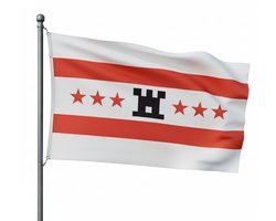Trasal - vlag Drenthe – drentse vlag 150x90cm
