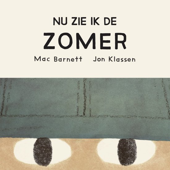 Boekcover met de titel "NU ZIE IK DE ZOMER" en illustratie van bruine ogen onder een groene rand.