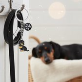 Porte-Clés Teckel à Poil Dur - En Acier Et Verre Noir - Idée Cadeau Pour Propriétaire De Chien