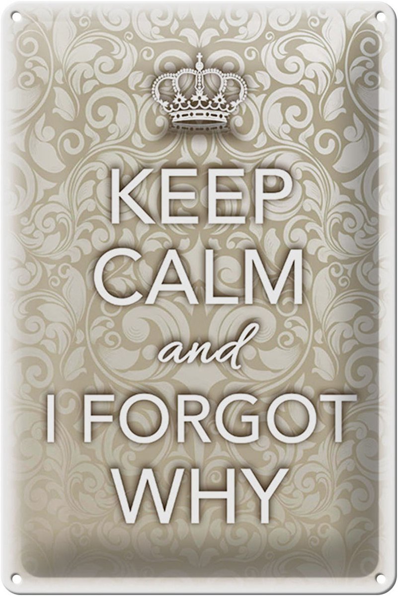 Blechschild Spruch 20x30cm Keep Calm and i forgot why