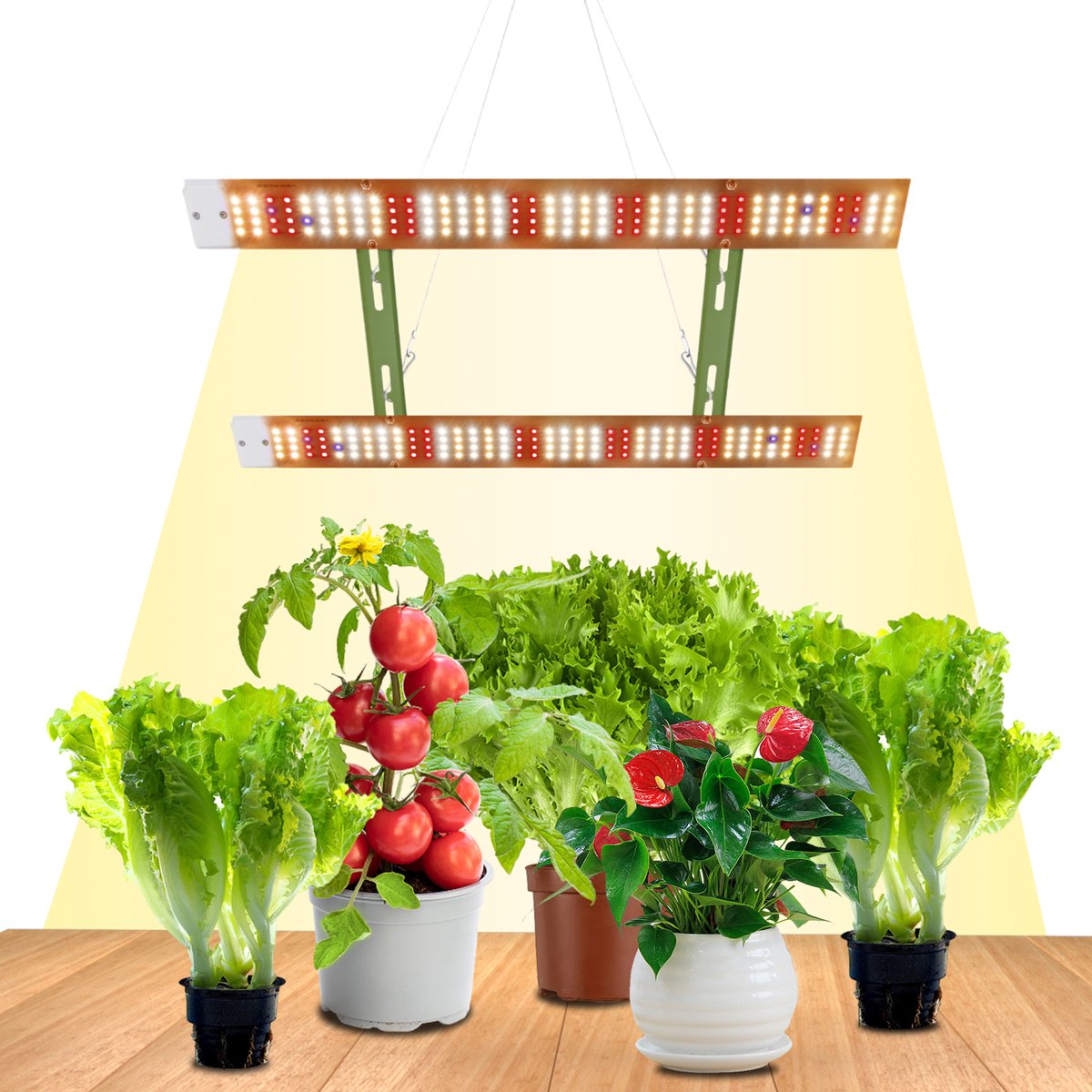 MUPOO Kweeklampen LED Full Spectrum - Groeilamp voor Planten - 80 Watt - 312LEDs - voor Hoge Planten - Zaailingen - Bloei - Vruchtvorming - Vegetatieve Groei - Ultrahelder