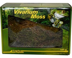 Vivarium Mos voor Terrarium - 150g Natuurlijke Terrariumdecoratie - Verhoog Luchtvochtigheid en Creëer Vochtige Plekken voor Reptielen