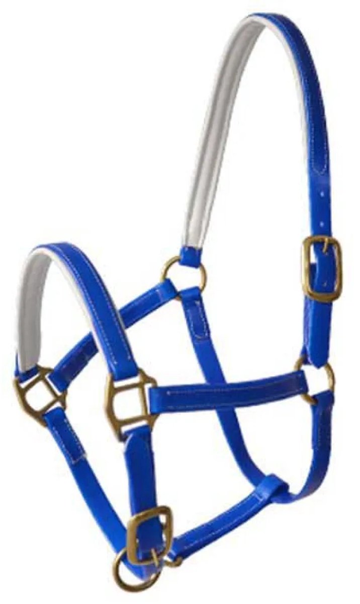 Lexhis Biothane Halster Blauw Cob