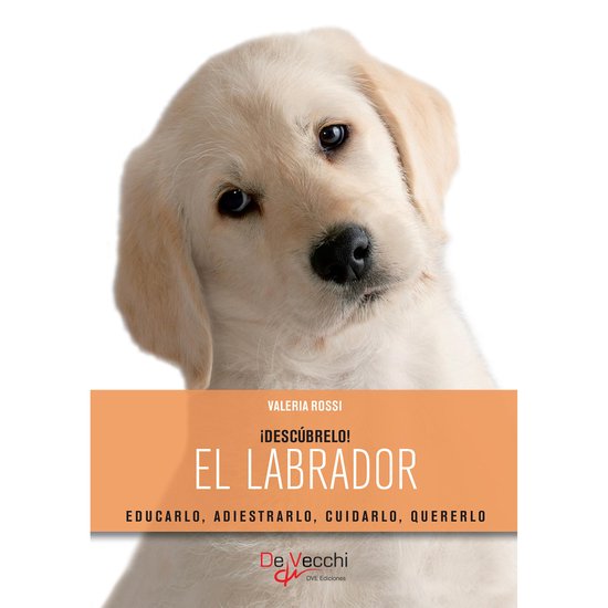 El labrador - cover