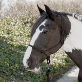 Touwhalster zwart pony