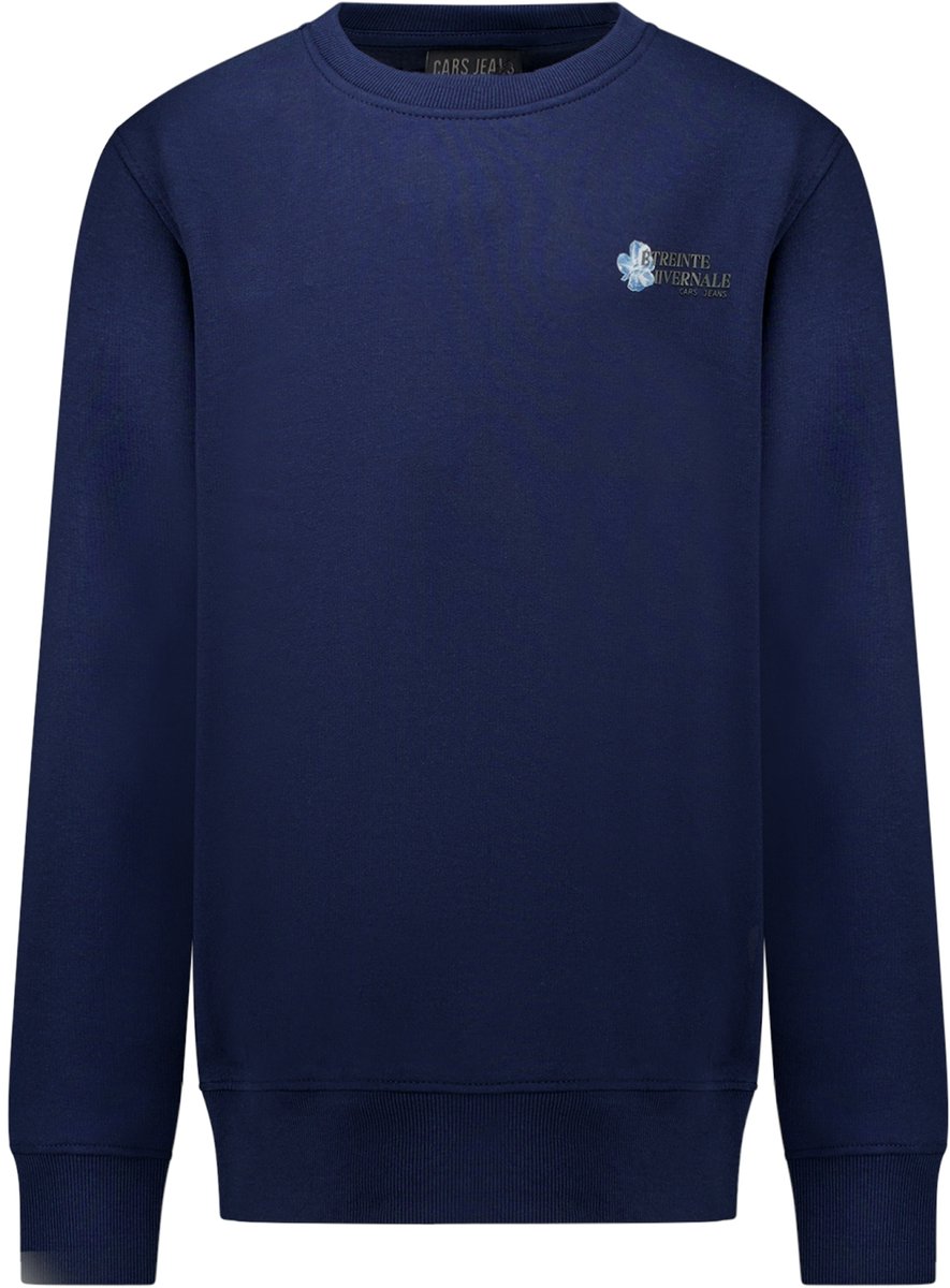 Cars Jeans Sweater Froy jr. -